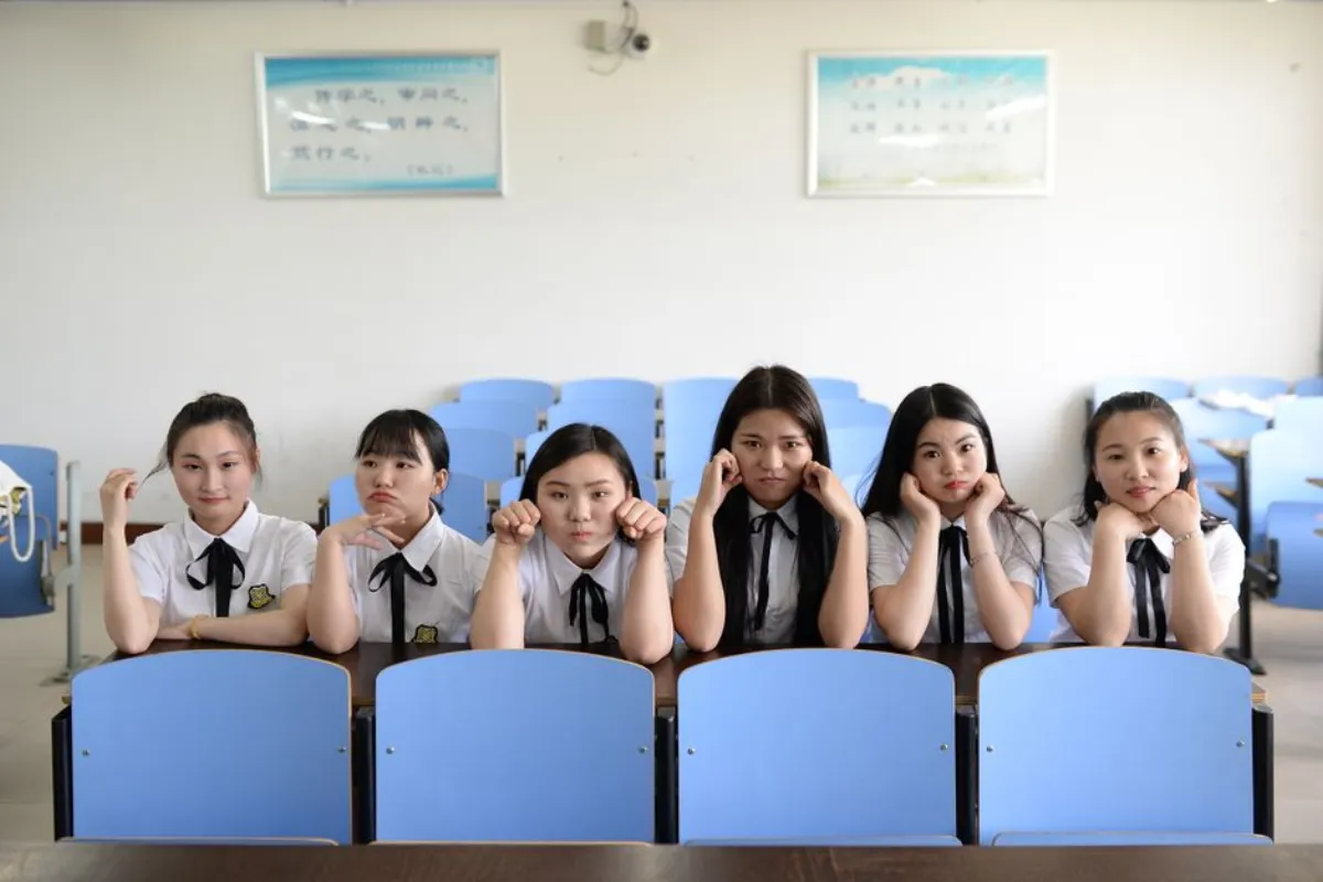 同班同学 在线 观看追剧鸡翅